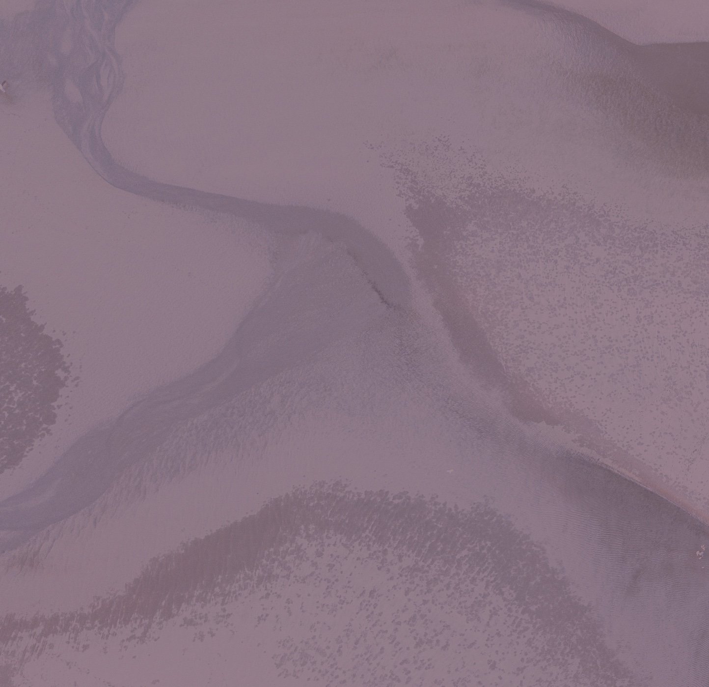 Voix et transformation en coaching professionnel